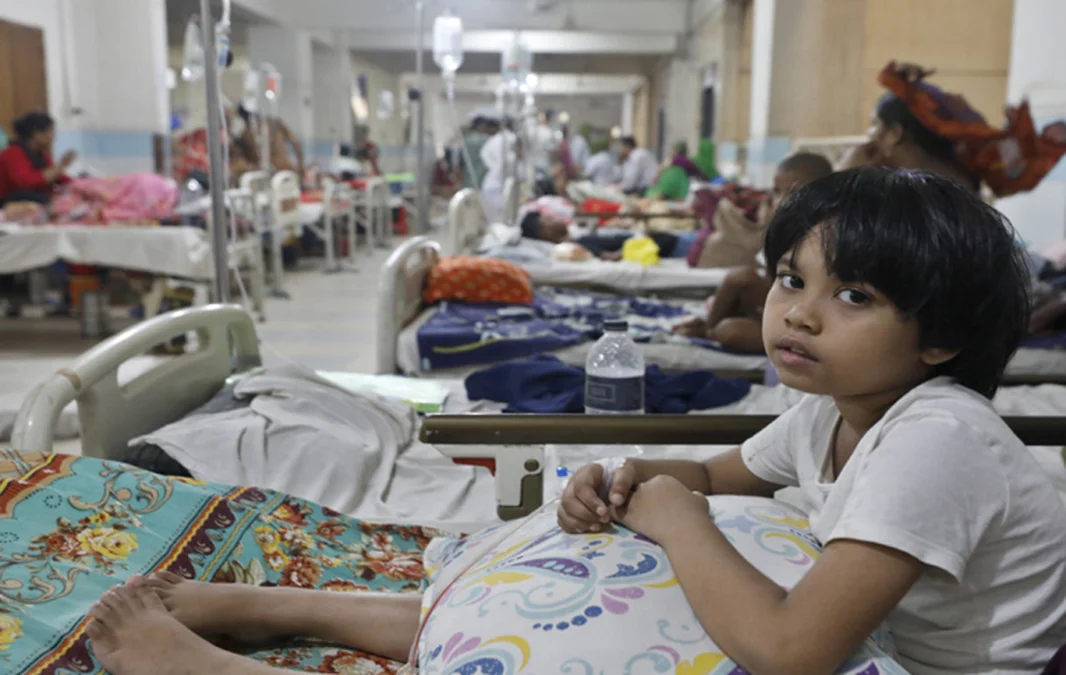 Dengue deaths in the country reach 253 this year