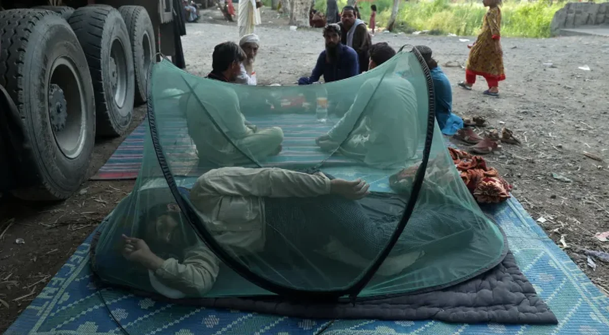 Afghan Refugees in Pakistan: Stripped of Identity, Trapped Between Borders