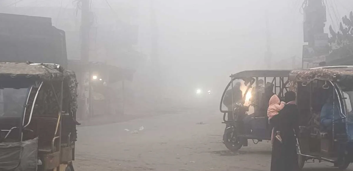 First Mild Cold Wave of the Season Sweeps Across Several Districts