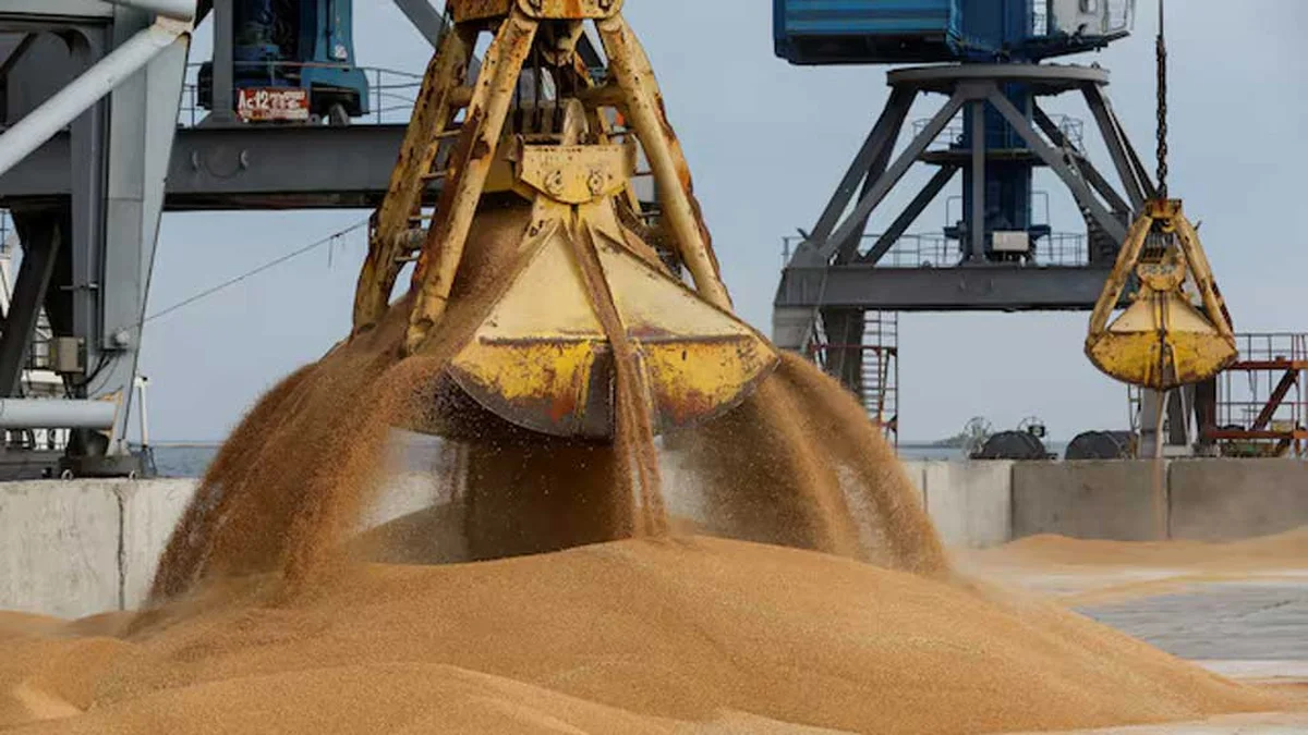 Another 220,000 Tons of Wheat to Be Purchased from the United States