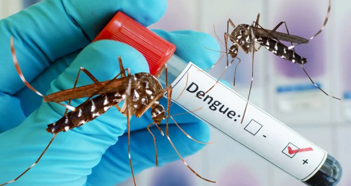 Highest Daily Dengue Death Toll Reported in Bangladesh This Year
