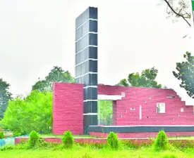 One after another, they were killed and dumped into the pond