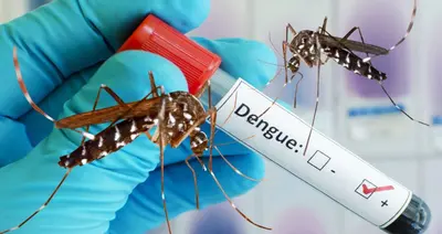 Highest Daily Dengue Death Toll Reported in Bangladesh This Year